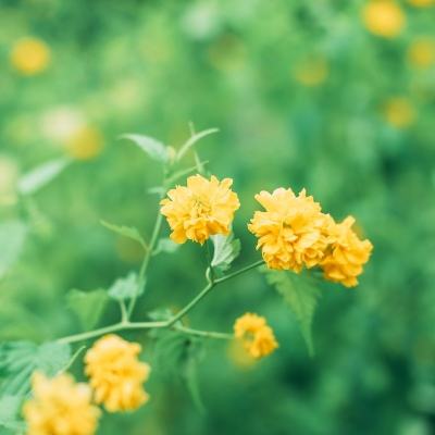 侠于江湖官方版下载